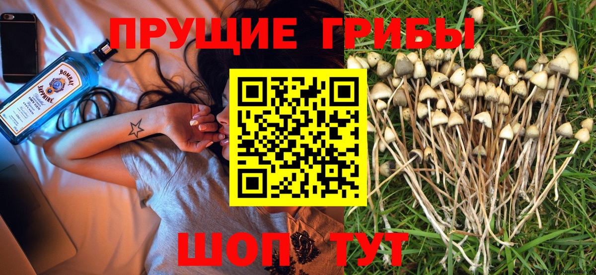 Галлюциногенные грибы MAGIC MUSHROOMS  Галлюциногенные грибы мухоморы  Дмитров  Вход с VPN 
